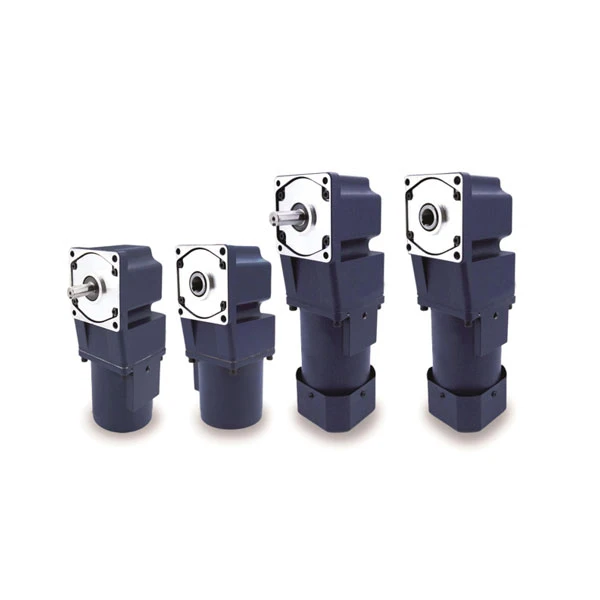 Hollow, solid rightangle gear motors