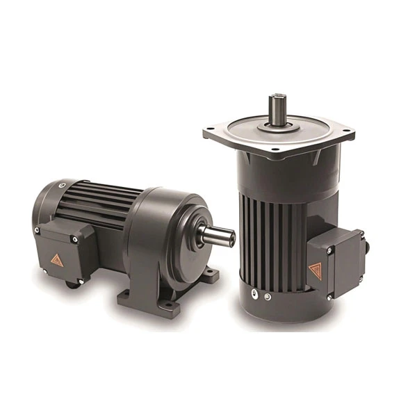 Smallreduction motor